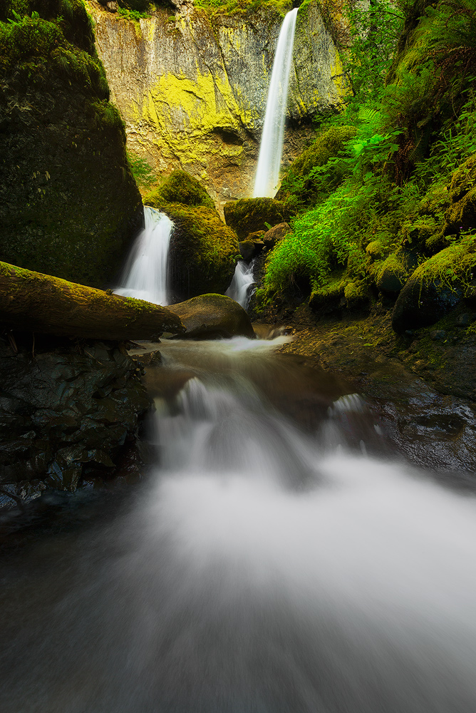 The Magic of Elowah