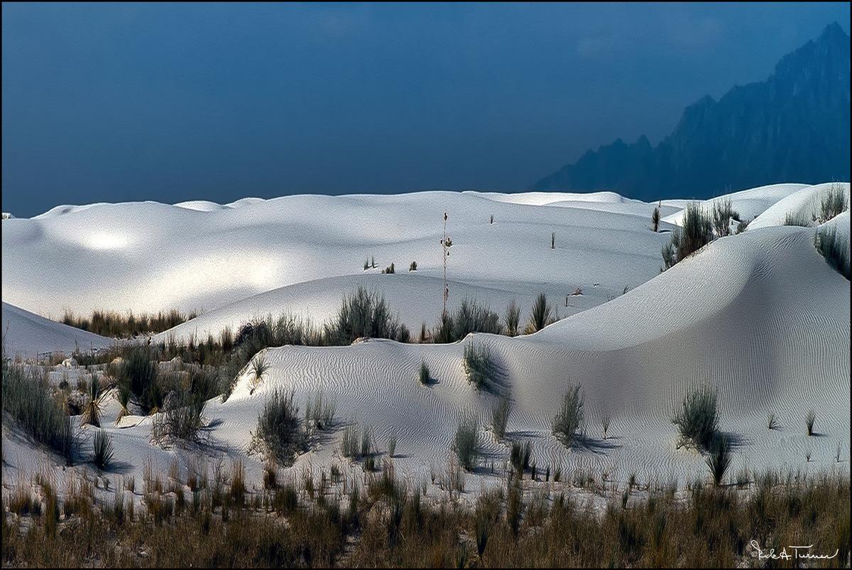 The White Sands