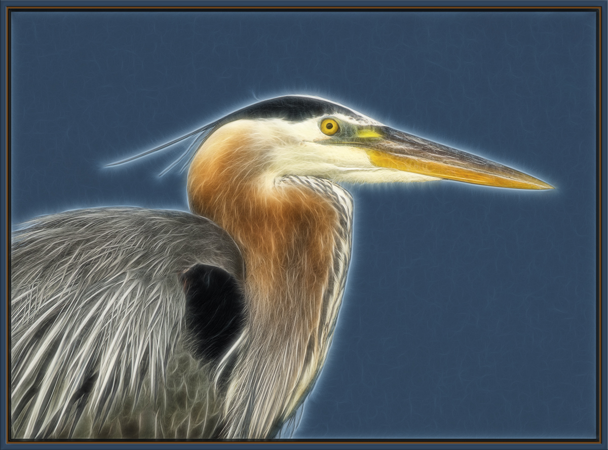 GBH Portrait