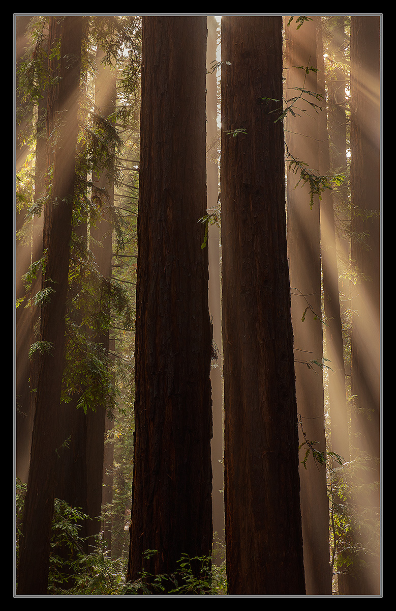 Pillars of the Sun Redux