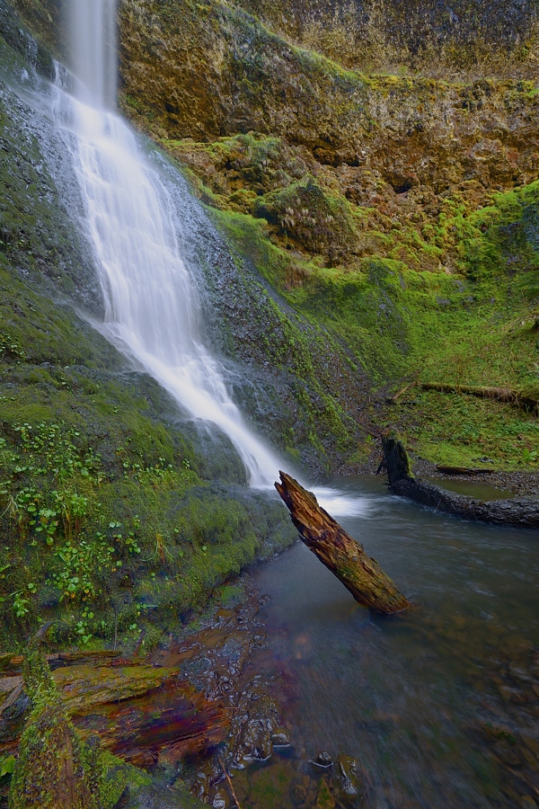 Winter Falls