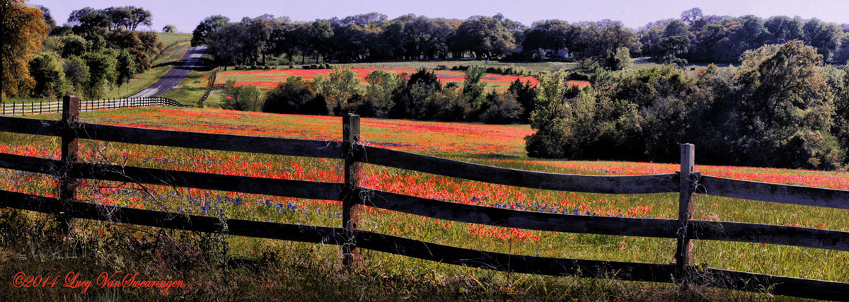 Paintbrush Heaven Plus Re-Post