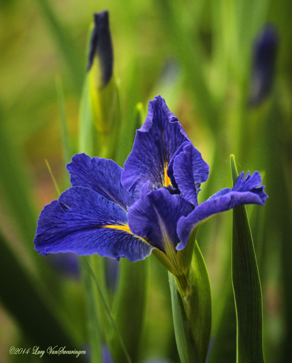 Spring Is Here! plus re-post