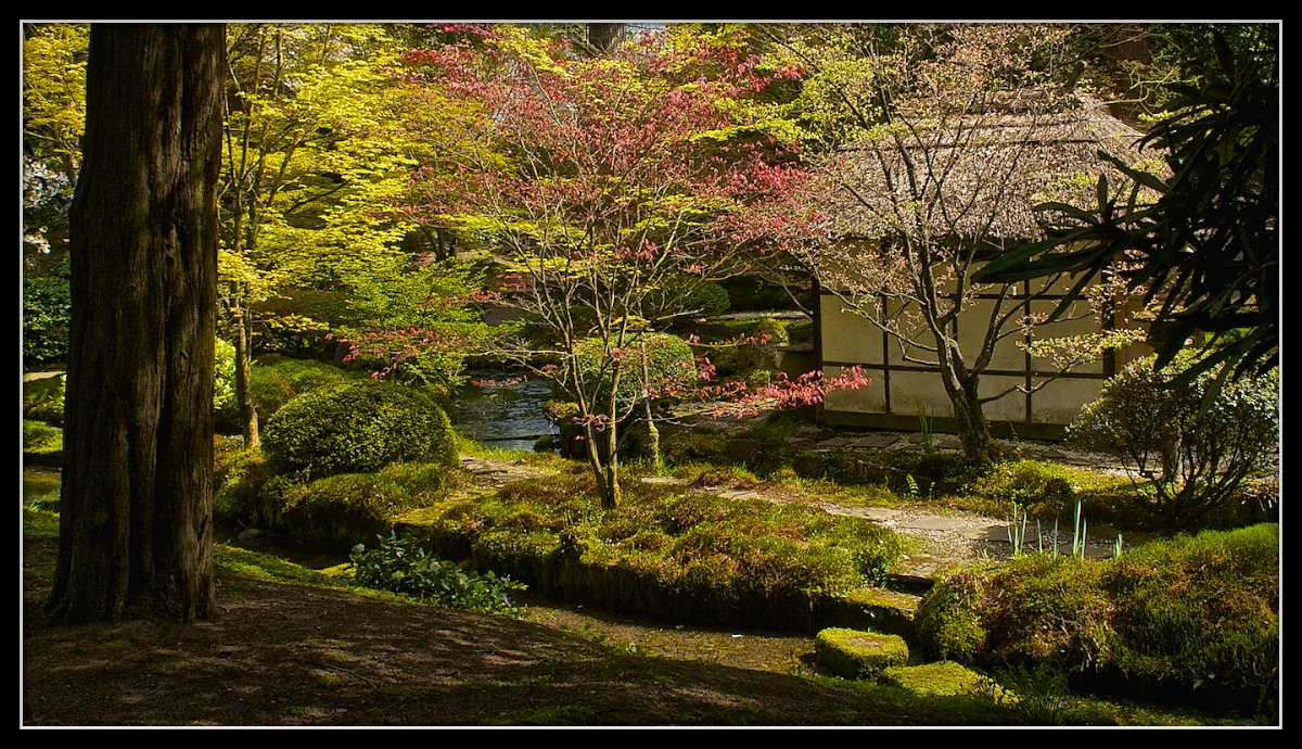 Japanese Tea House