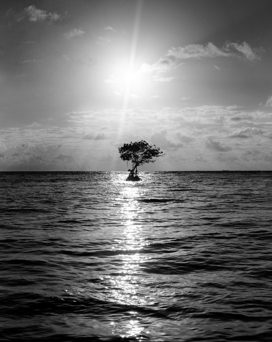 Sunrise Key Biscayne