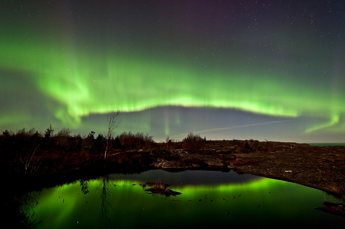 Aurora
