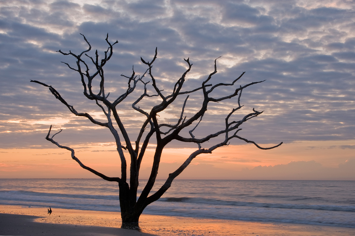 Botany Bay Sunrise #2