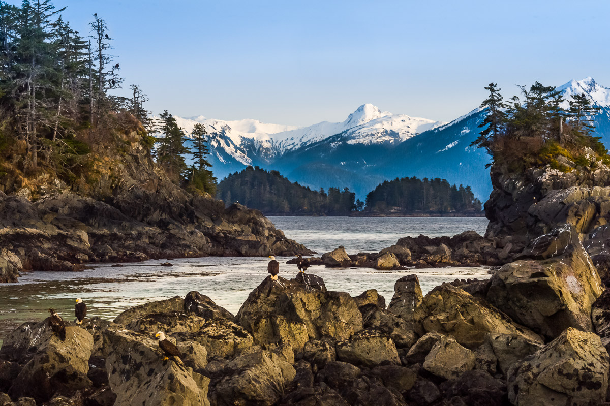 Rocky Landscape