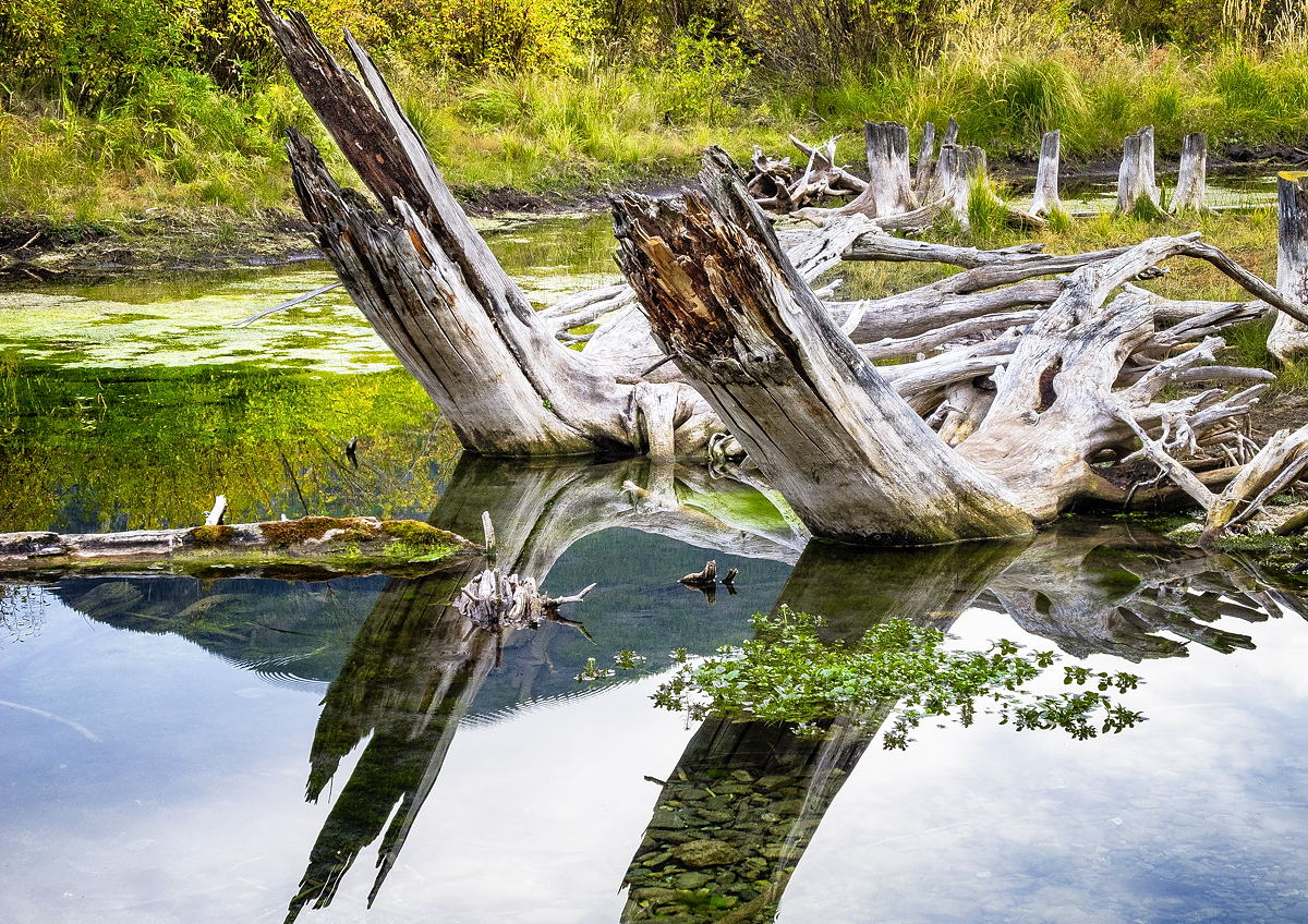 Tranquillity