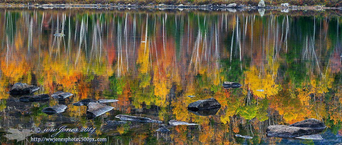 Quiet Water/Bright Color