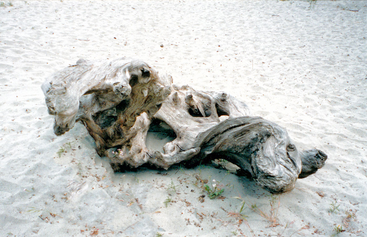 Artifact
