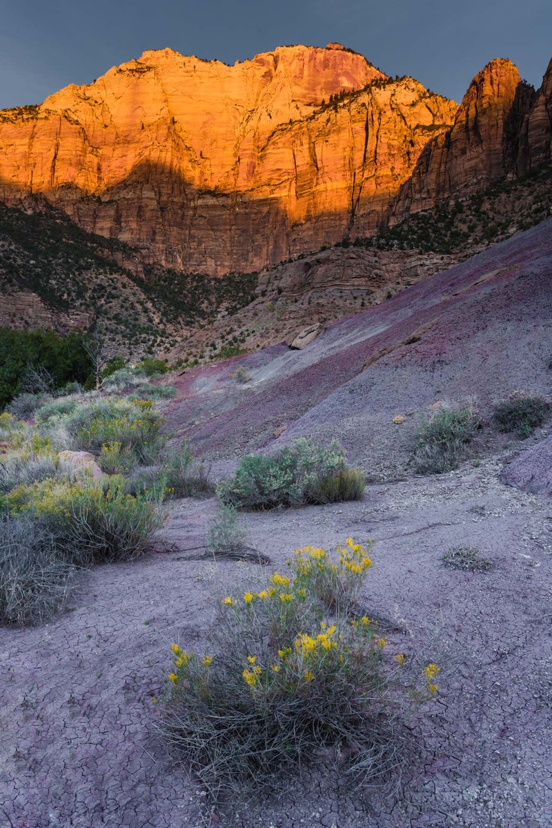 Zion morning