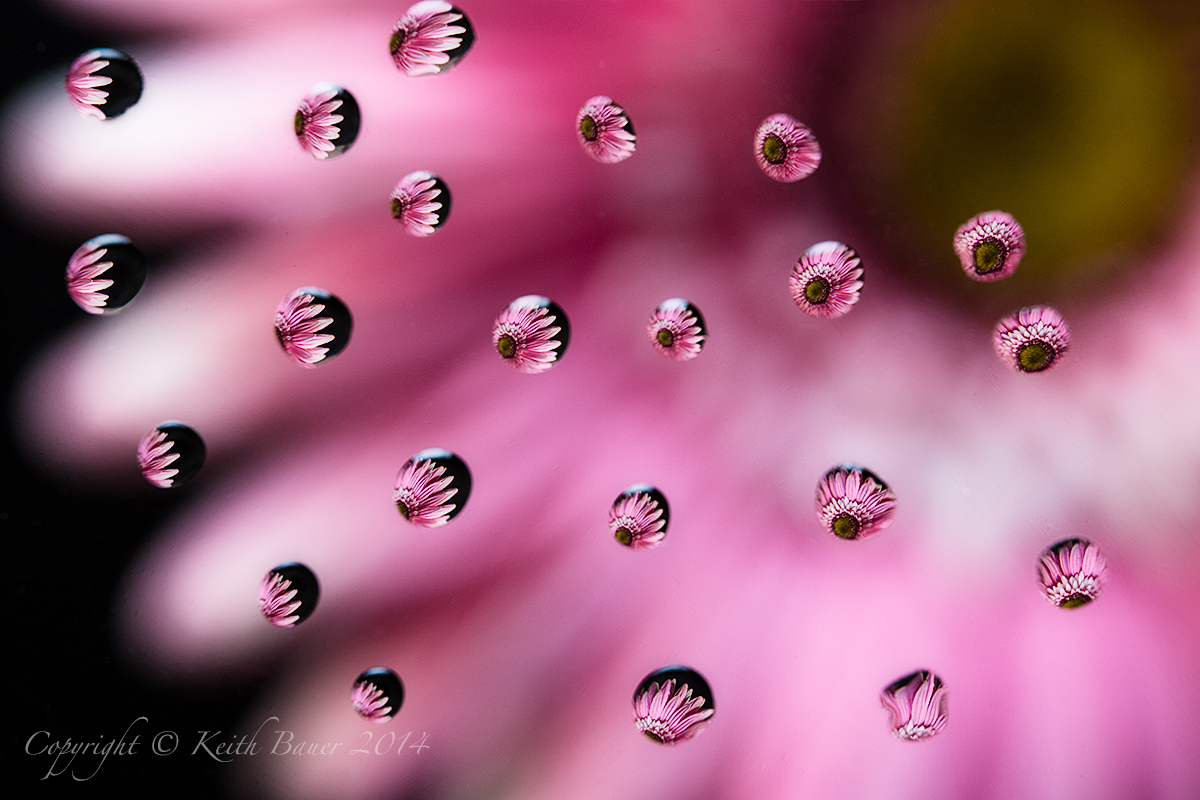 Refraction fun
