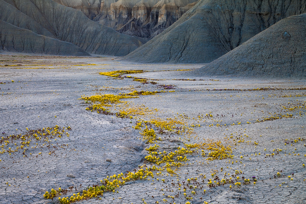 Beautiful Badlands