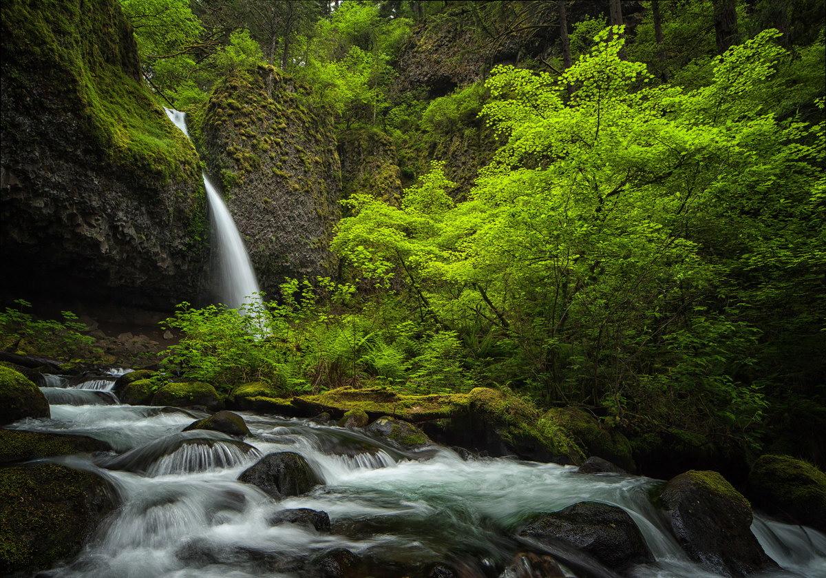 Ponytail Falls