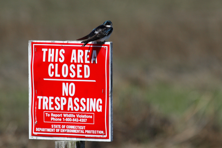 No trespassing