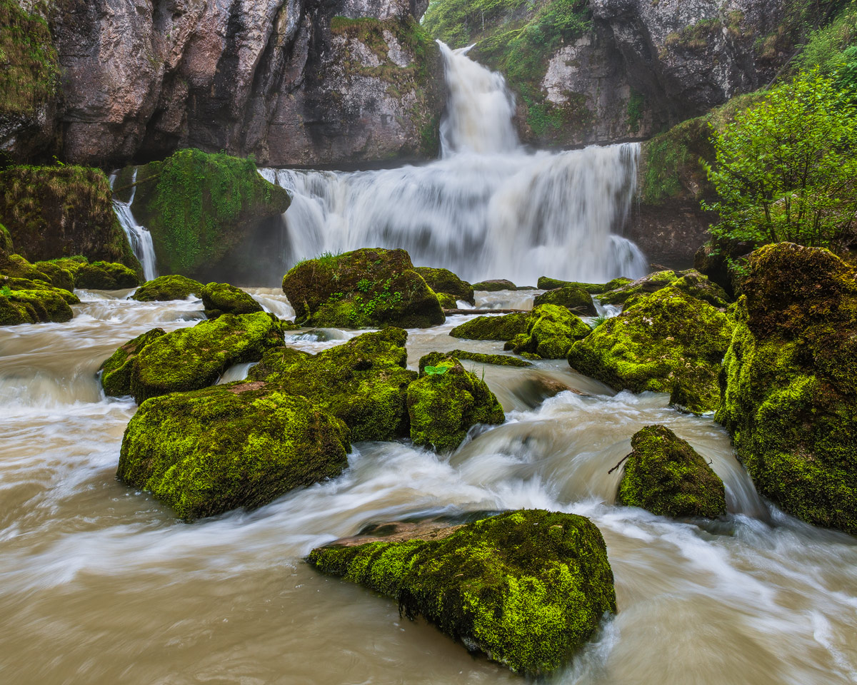 The River Wild