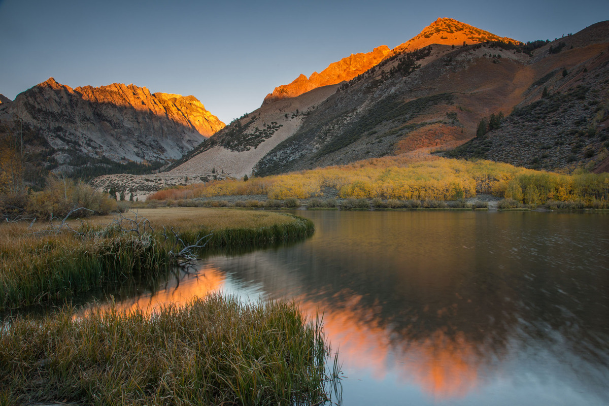 Rosy dawn