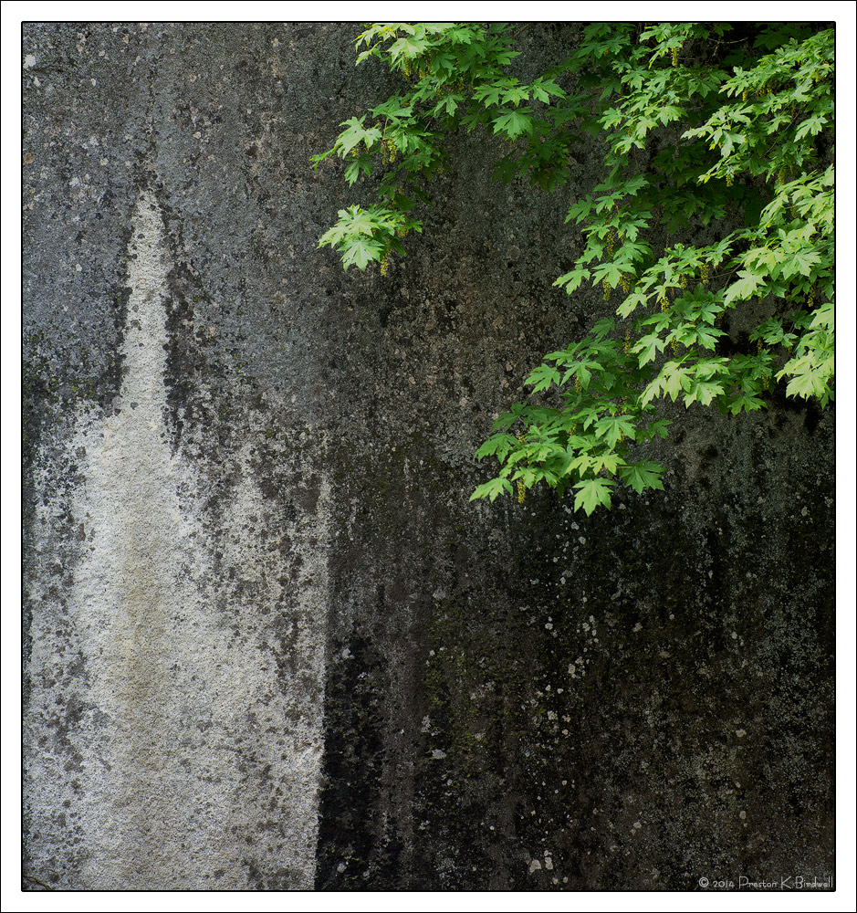 Green On Grey