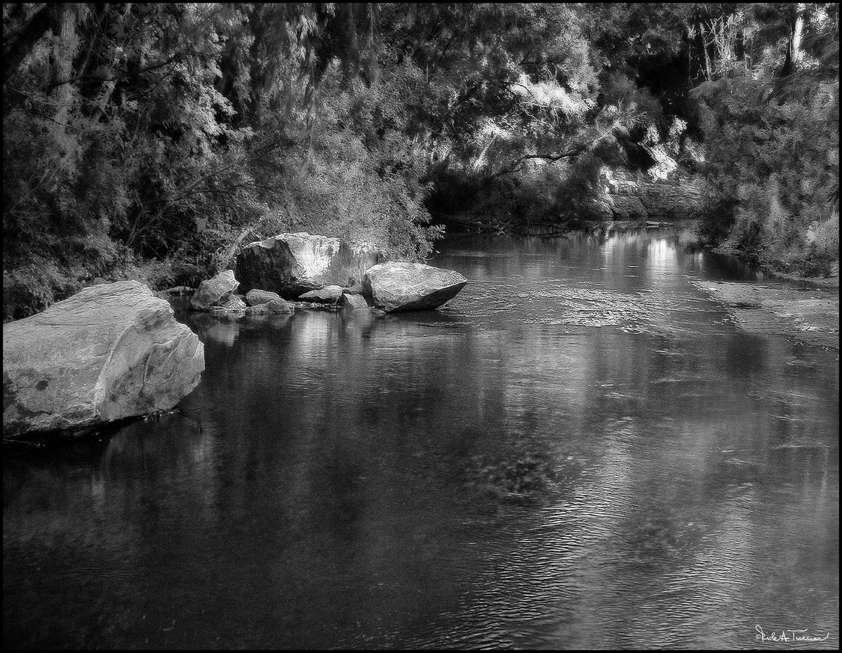 Turtle Creek
