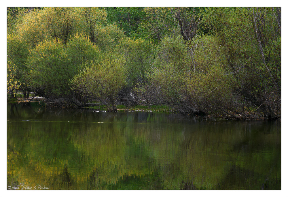 Reflections on Spring
