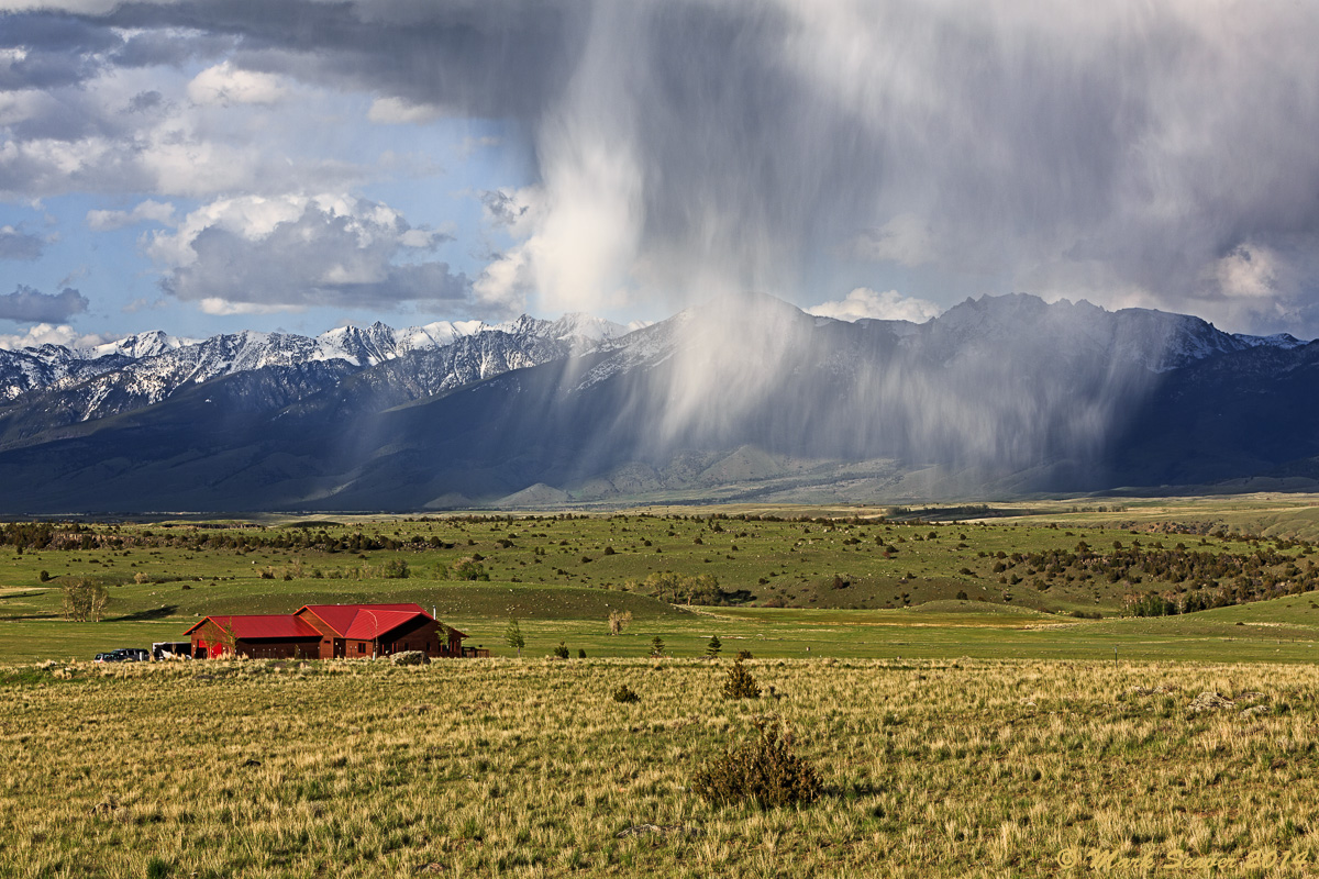 Scattered Shower Starts