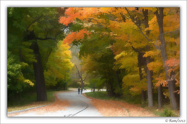 Autumn in Watercolor