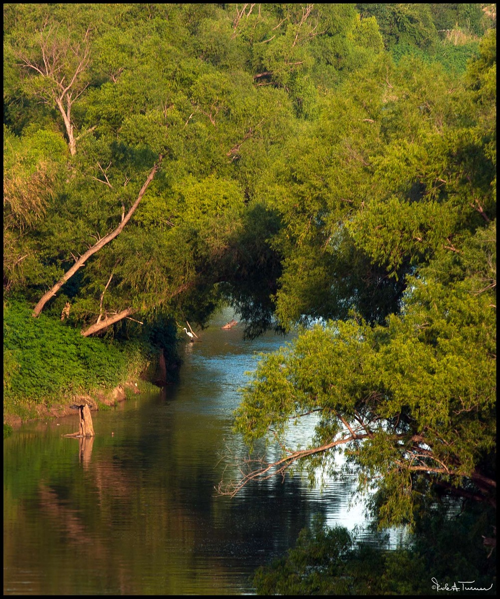 Trinity River Canopy