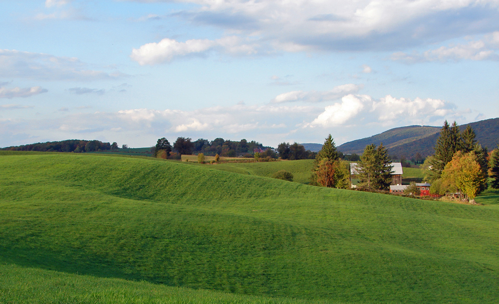 Rolling Countryside