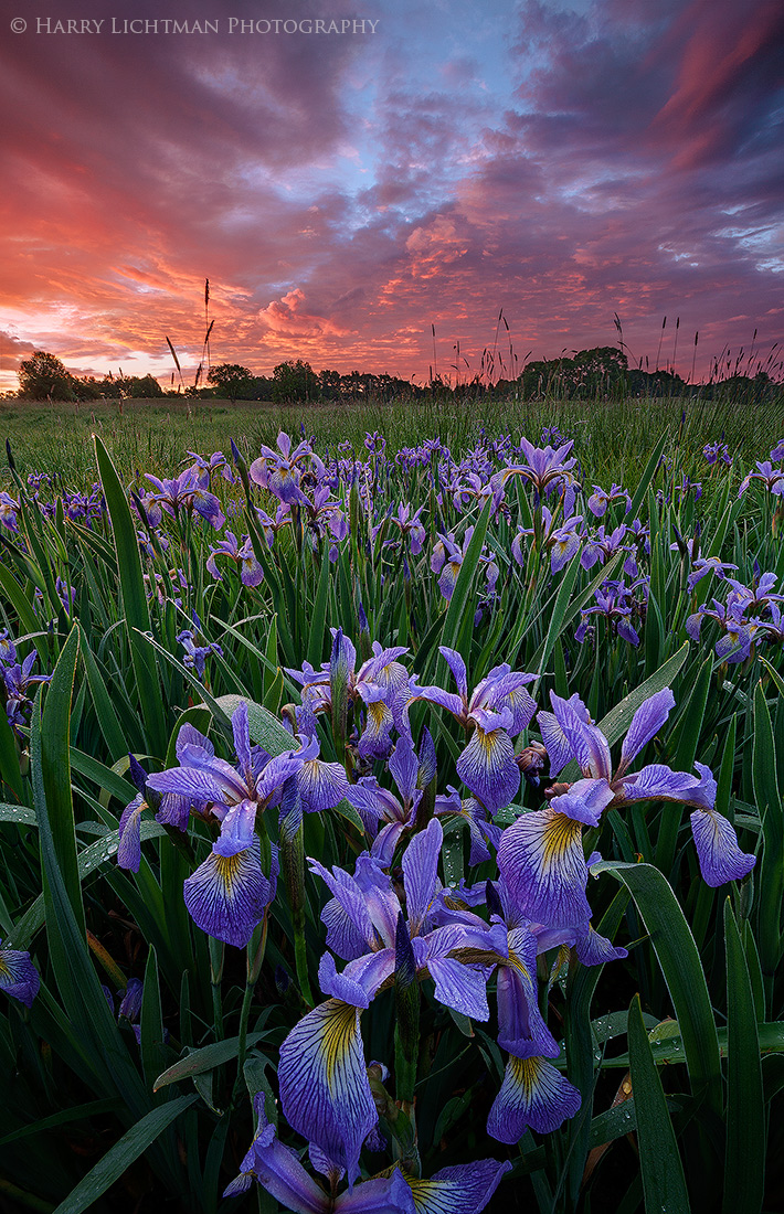 Wagon Hill Farm & Re-Post