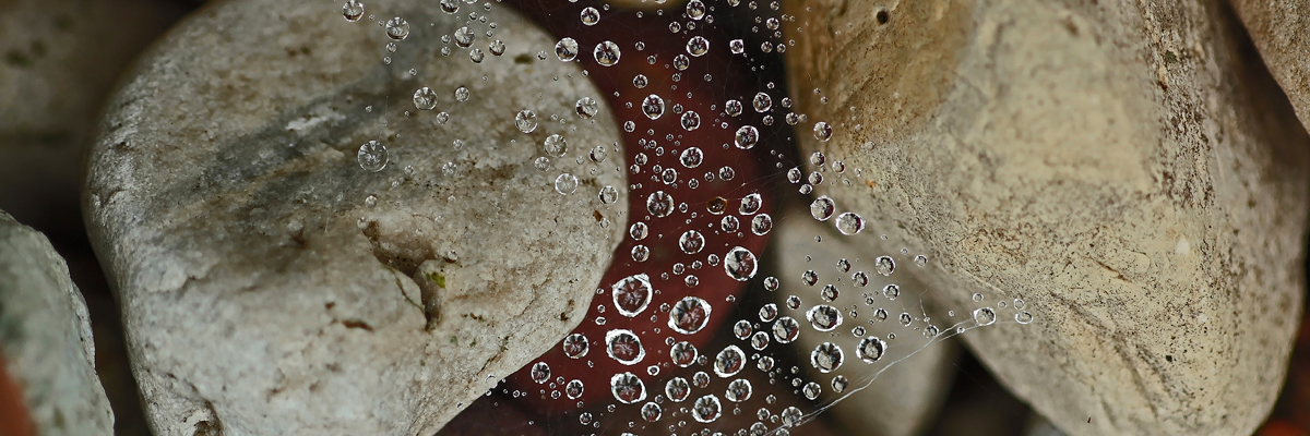 Rocks and drops