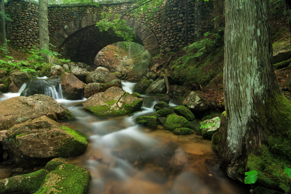 Jordan Stream