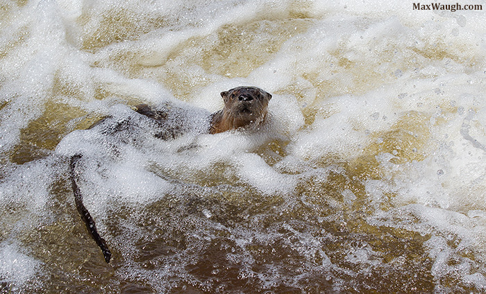 Bubble Bath