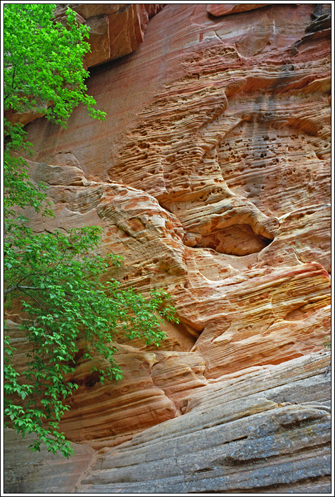 Hidden Canyon