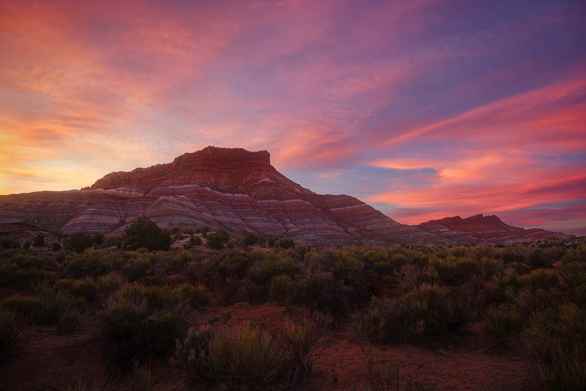 Vermilion Morning