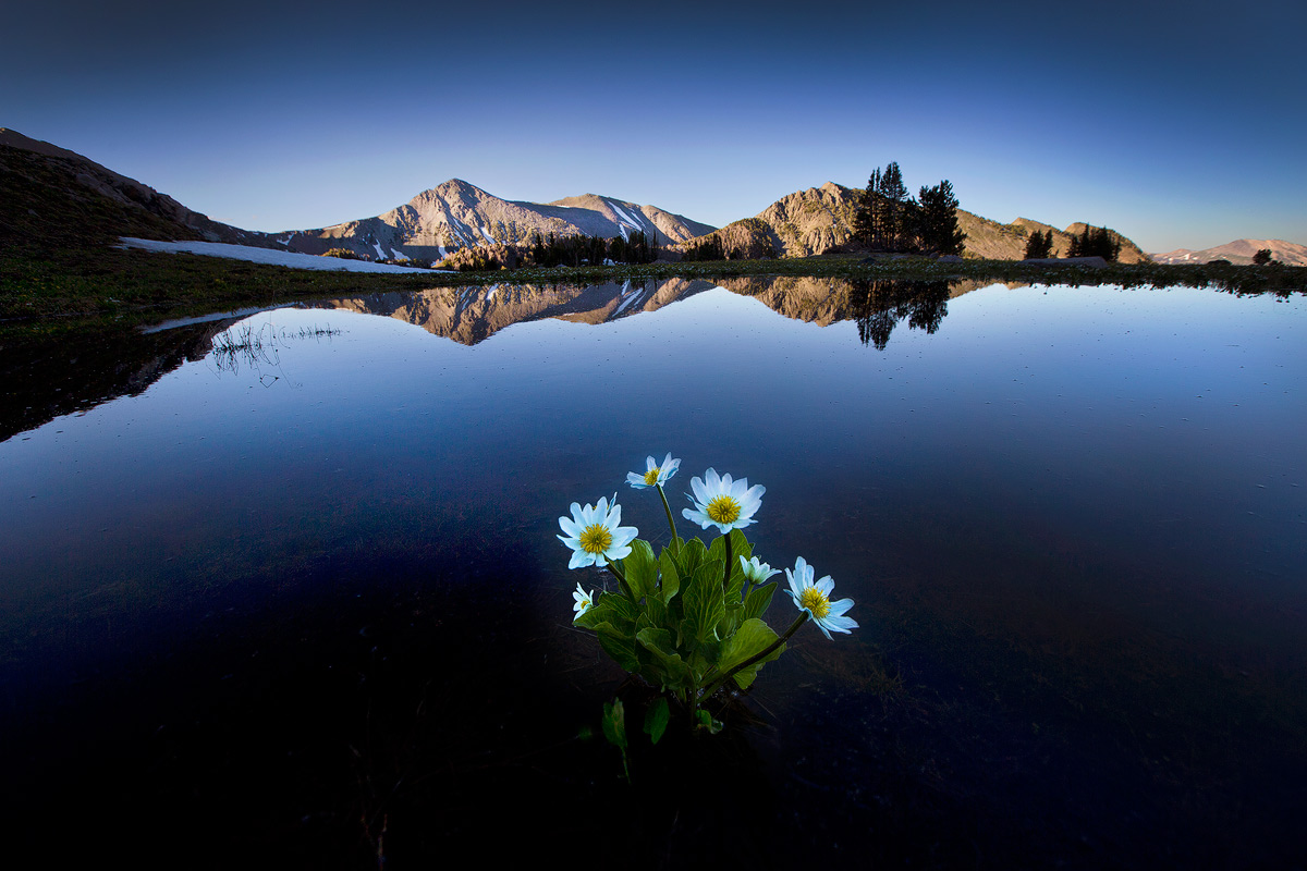 Hilgard Basin Sunset
