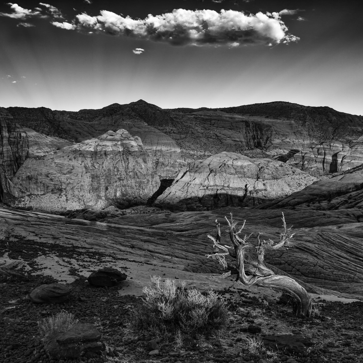 Snow Canyon Morning