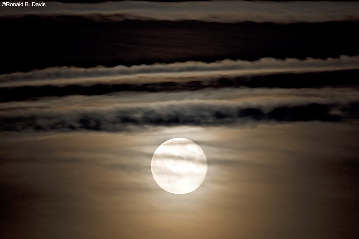Moon Waves