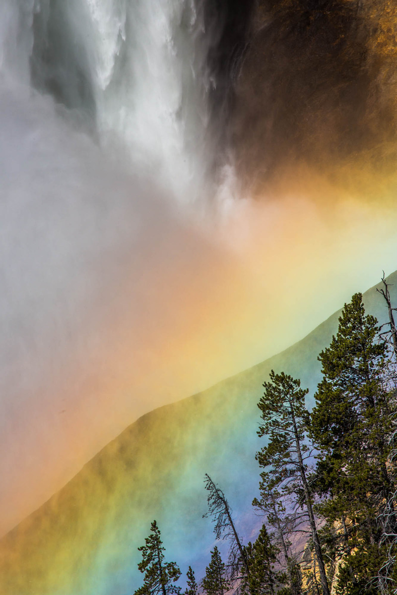 Yellowstone Abstract-W.C