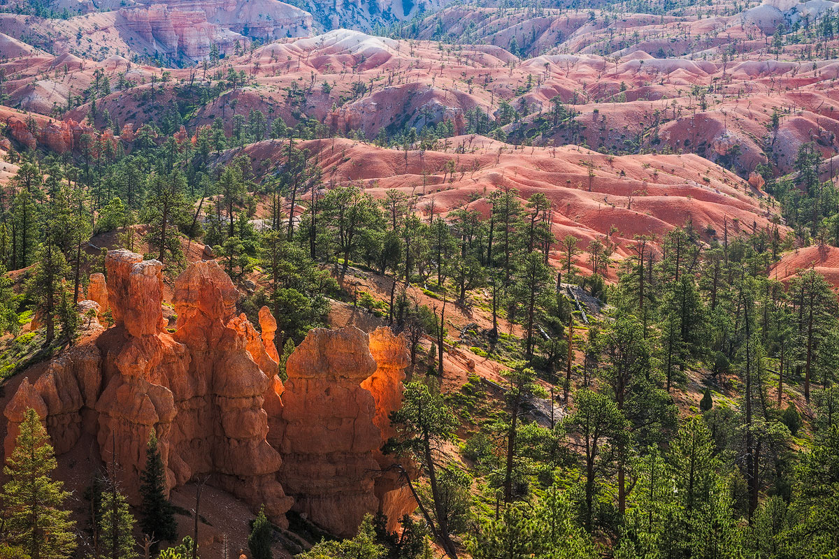Bryce Glow