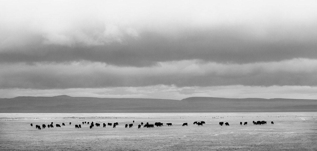 Eastern Oregon Prairie