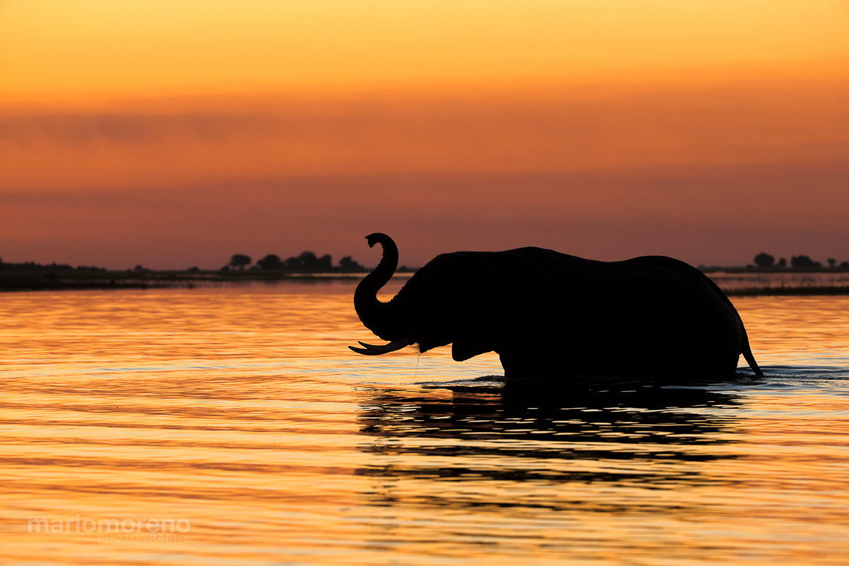 Elephant Bay Sunset