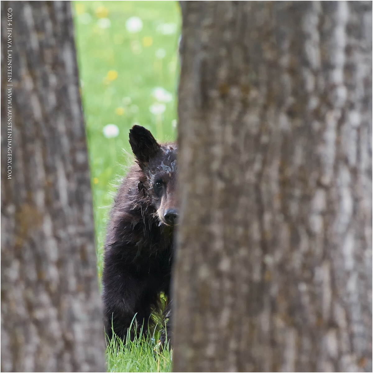 Peekaboo!