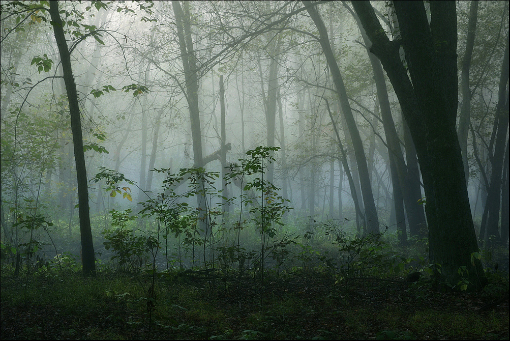 Quiet Places