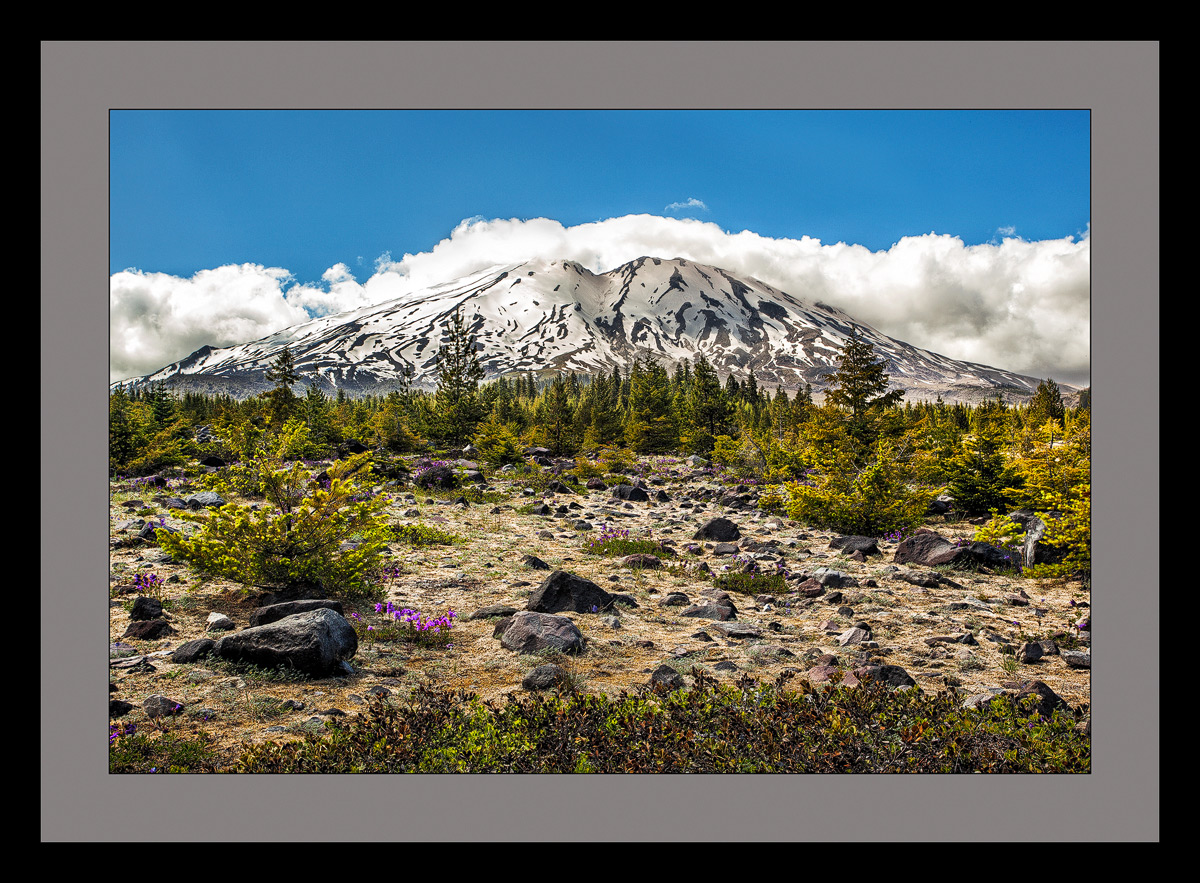 Mt. St Helens