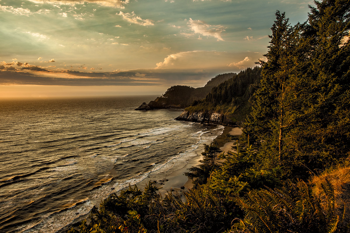 Heceta
