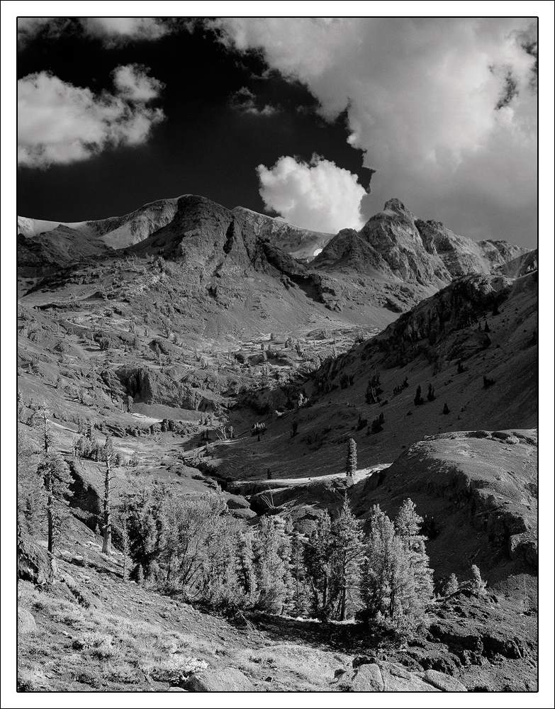 Blue Afternoon BW + rp