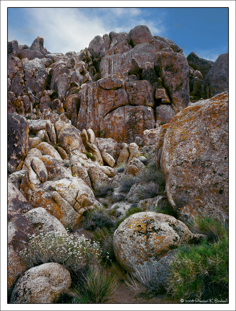 Spring in Alabama Hills 