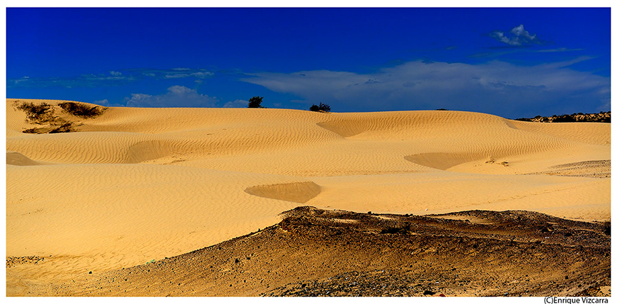 Desert of Altar