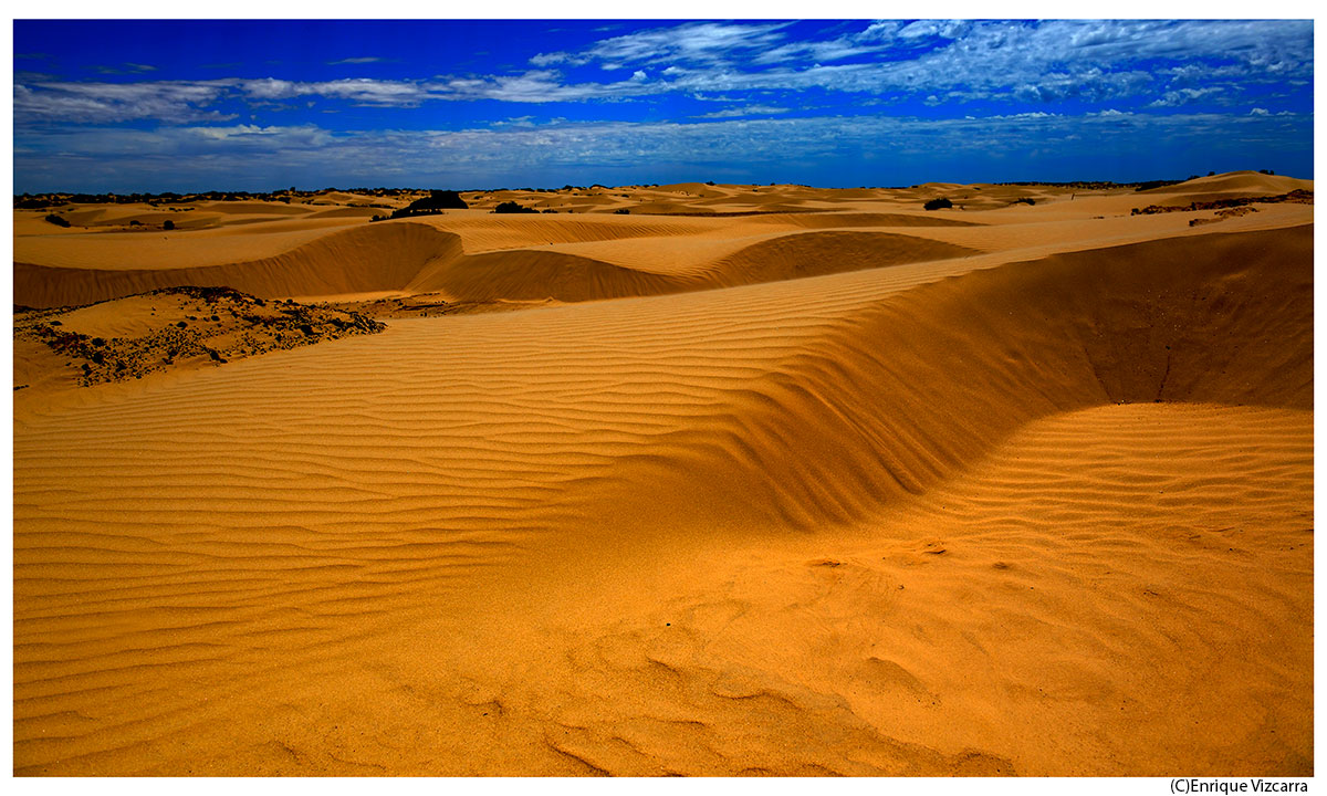 Dunas 